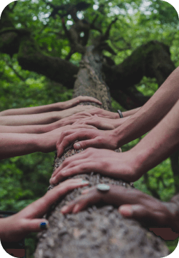 hands on log